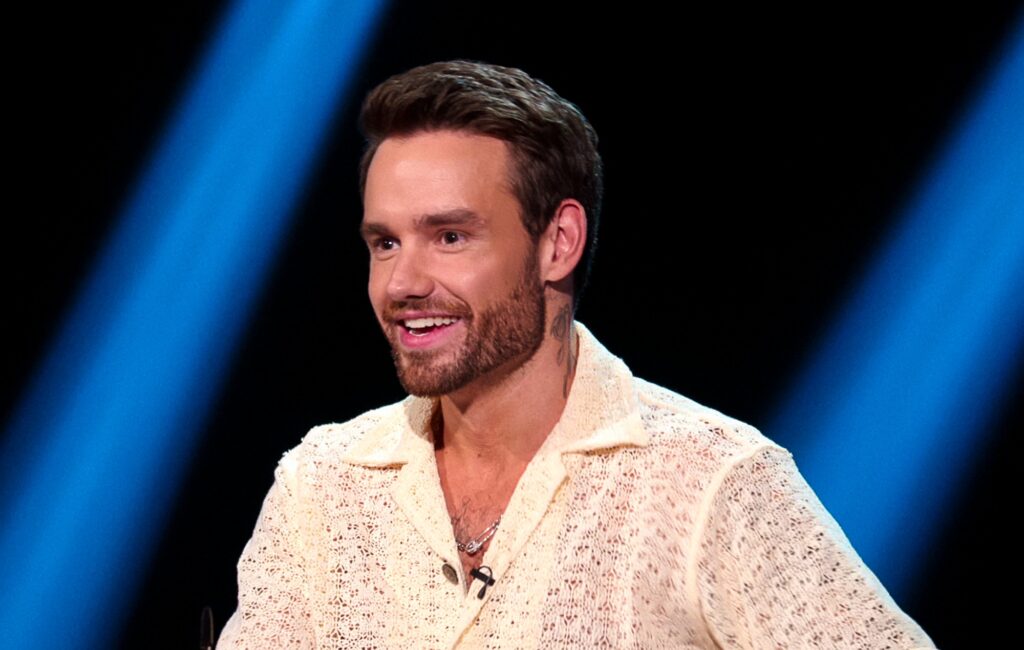 Watch Liam Payne sing along to a One Direction hit with fans on 'Building The Band'