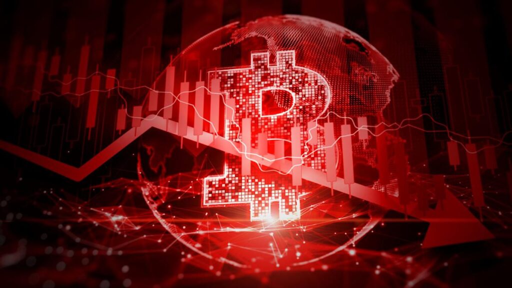Top Safe-Haven Investments During a Crypto Market Slump