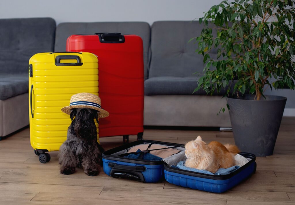 How to Prevent an Emergency When Flying With Your Pet How to Prevent an Emergency When Flying With Your Pet