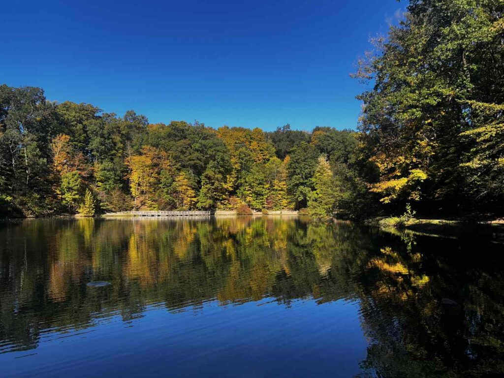 Affordable Midwest Cities for Retirees That Make Your Money Go Further