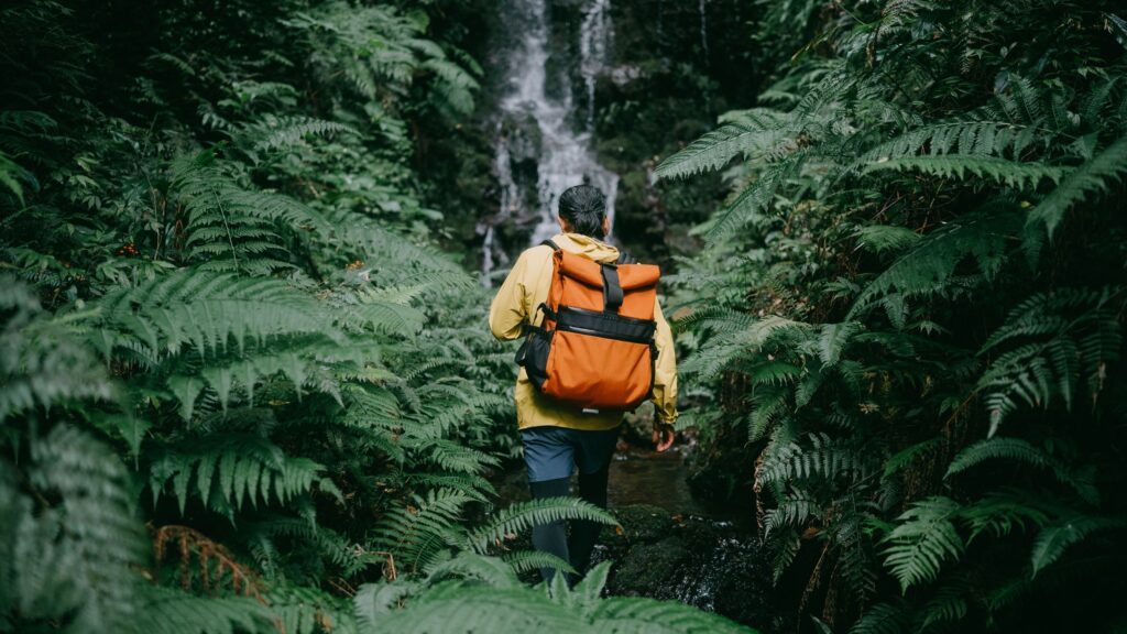 Steps to Get You Through the Open Enrollment Jungle at Work Steps to Get You Through the Open Enrollment Jungle at Work