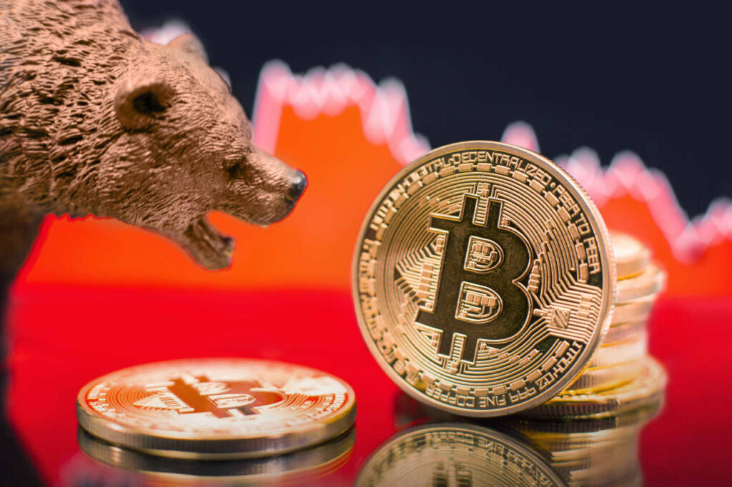With bitcoin down to around $92,000, should you rethink how much crypto to own? Here’s what experts say.