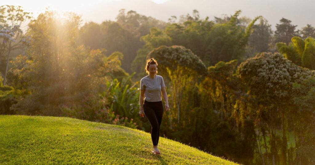 SafetyWing Travel Medical Insurance for Digital Nomads (Why It’s Easy) SafetyWing Travel Medical Insurance for Digital Nomads (Why It’s Easy)