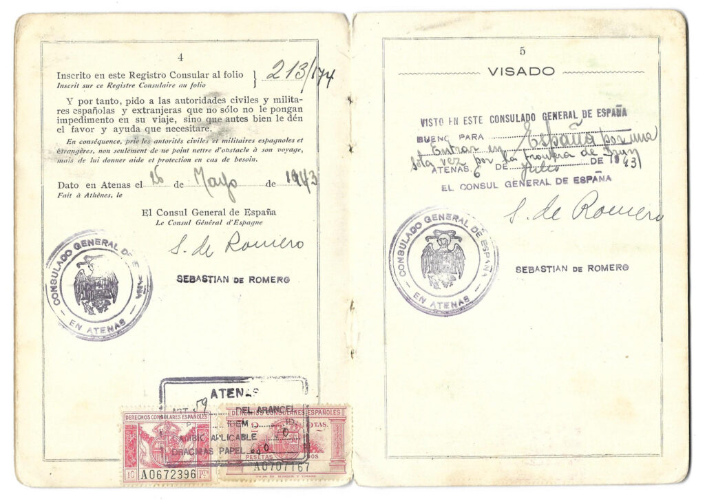 Passport Validity Check: Why UAE Citizens Must Verify Before Travelling passport validity check